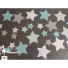 Sachet de confetti étoile bleu vert pastel, gris et blanc
