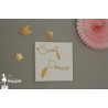 Tableau décoratif Sweet Dream thème plume doré et rose pailleté